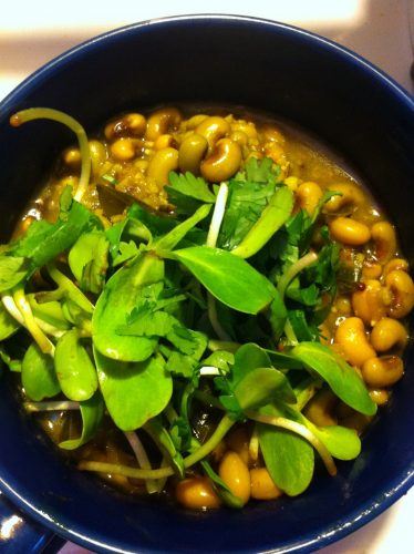 Curried black eyed peas with fresh sprouts